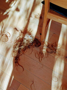 hier durfte sich viel verändern, Locken auf dem Holzboden